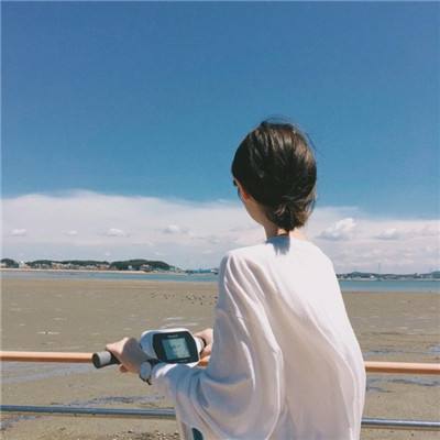 天庭战争果盘版下载