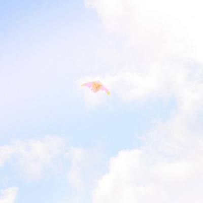 屠戮沙城手游下载